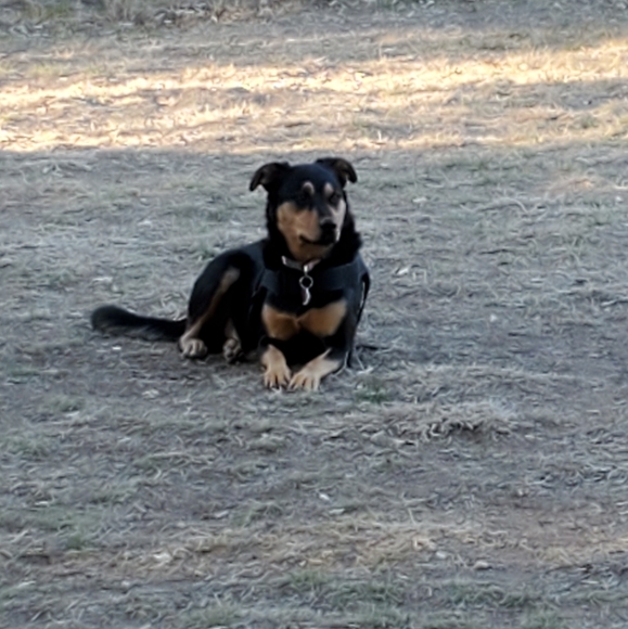 Meet your Posher, Kimberly - Picture 5 of 5